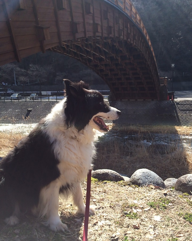 奈良井宿の大橋の構造が綺麗
